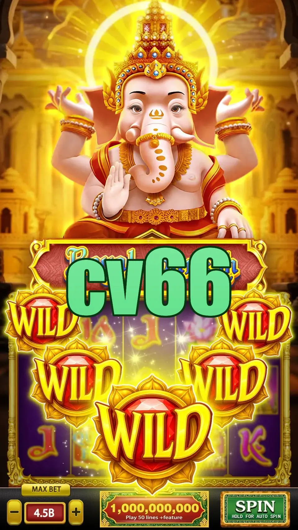 cv66 APK